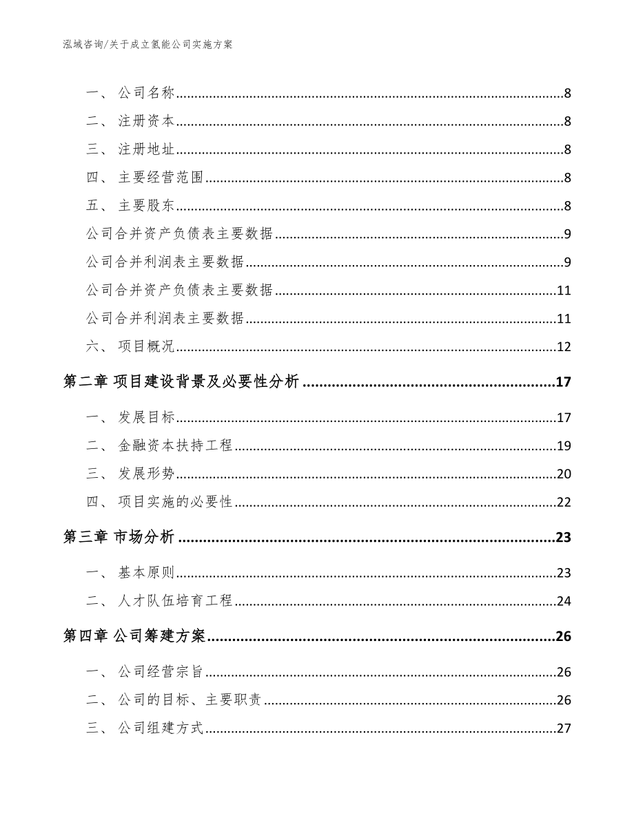 关于成立氢能公司实施方案【参考模板】_第3页