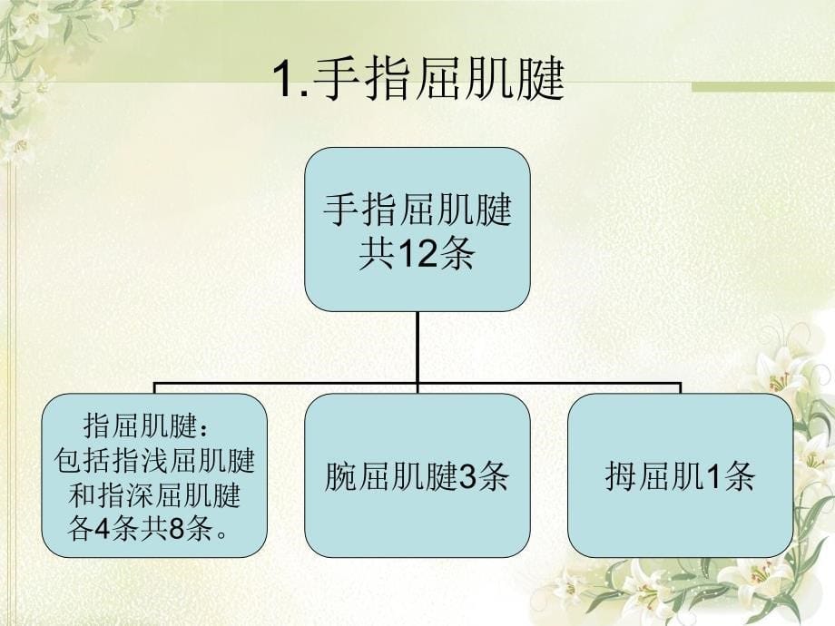 《手外伤的评定技术》PPT课件_第5页