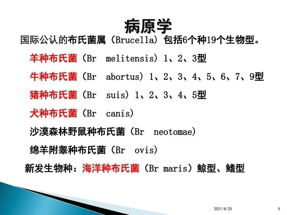 布氏杆菌病PPT_第5页