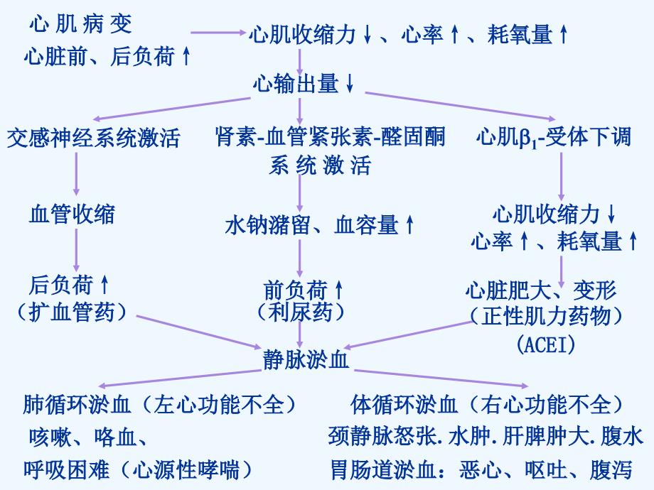 抗心功能衰竭药物.ppt_第3页