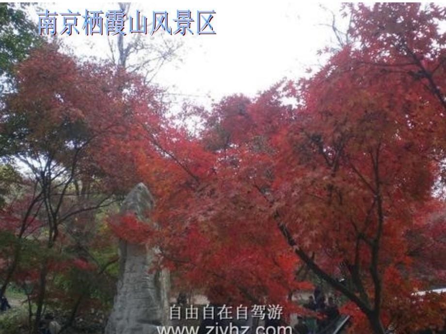 五年级《雨花石》课件_第5页