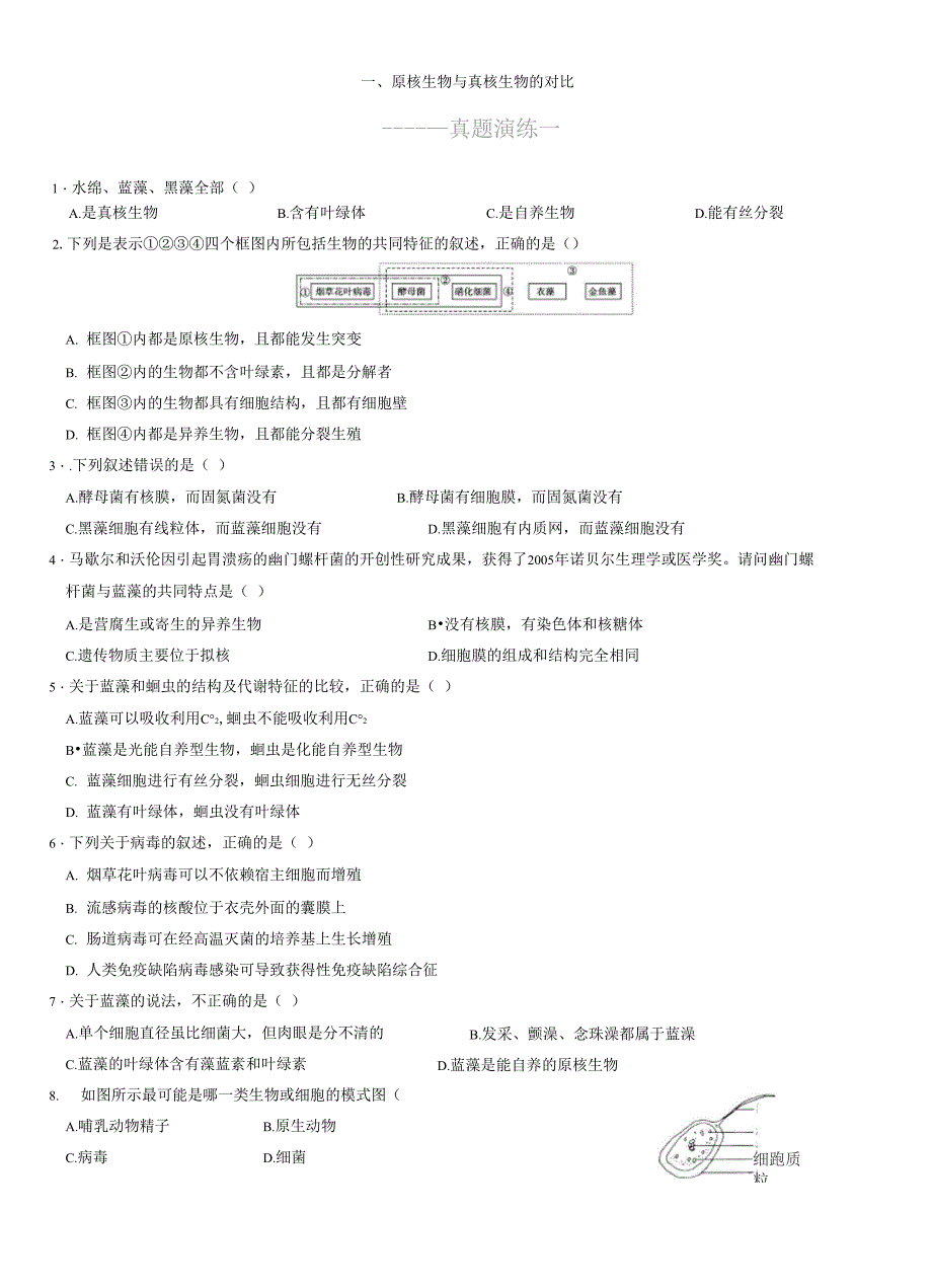 原核细胞与真核细胞的比较_第4页