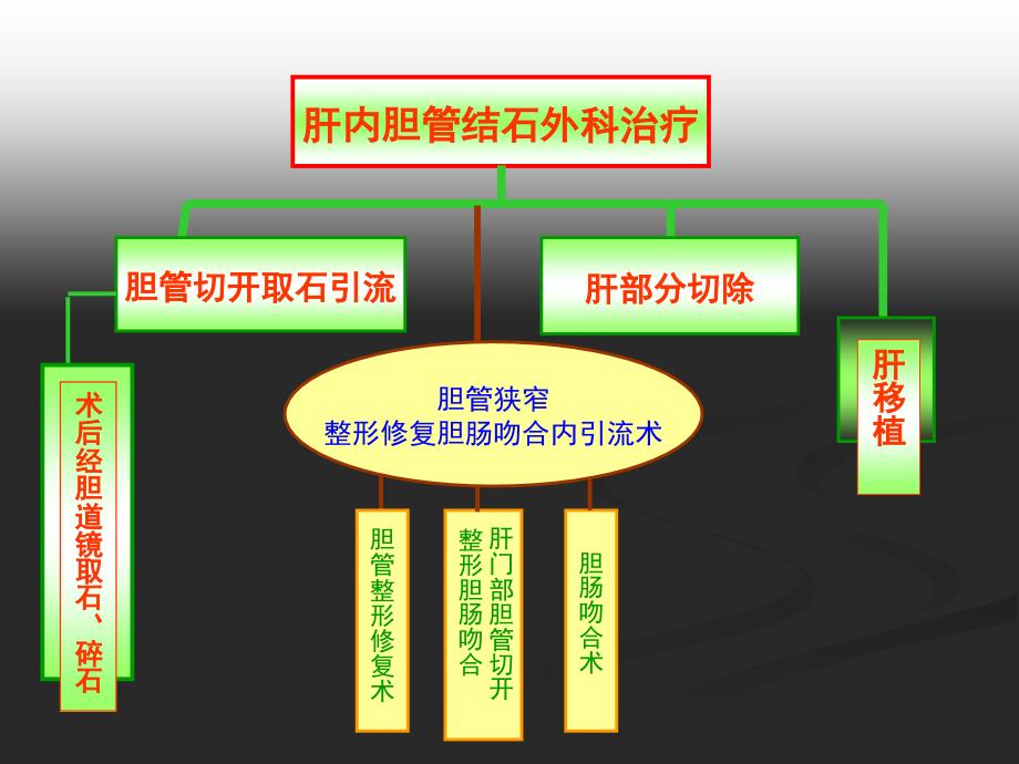 术后胆道镜取石在肝内胆管结石治疗中的作用反思_第2页