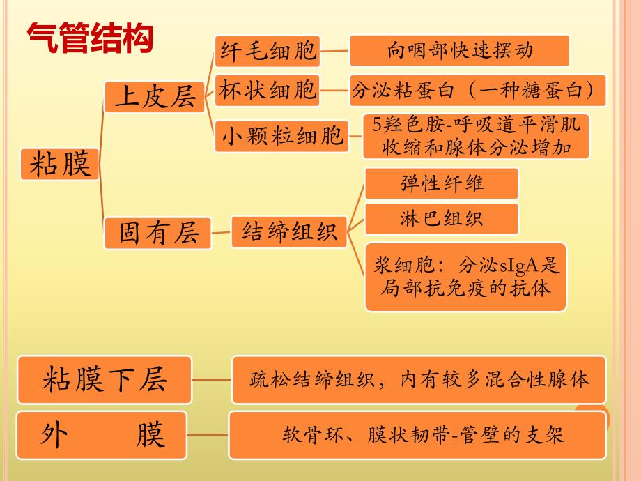 吸入用乙酰半胱氨酸溶液(富露施)的临床应用科室培训_第4页