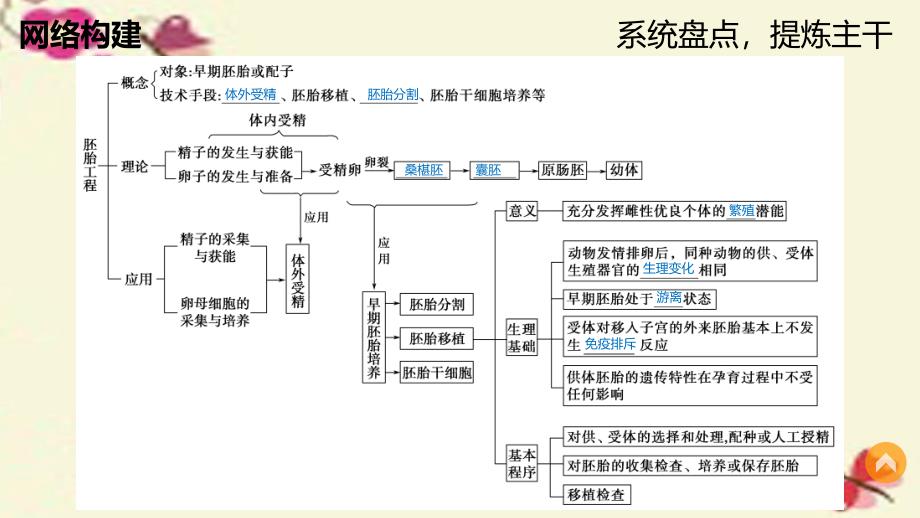 20222023高中生物专题三胚胎工程整合提升课件新人教版选修3_第2页