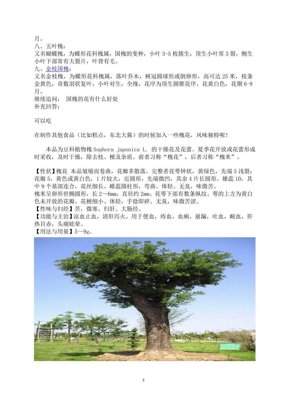 国槐树的种植方法.doc_第5页