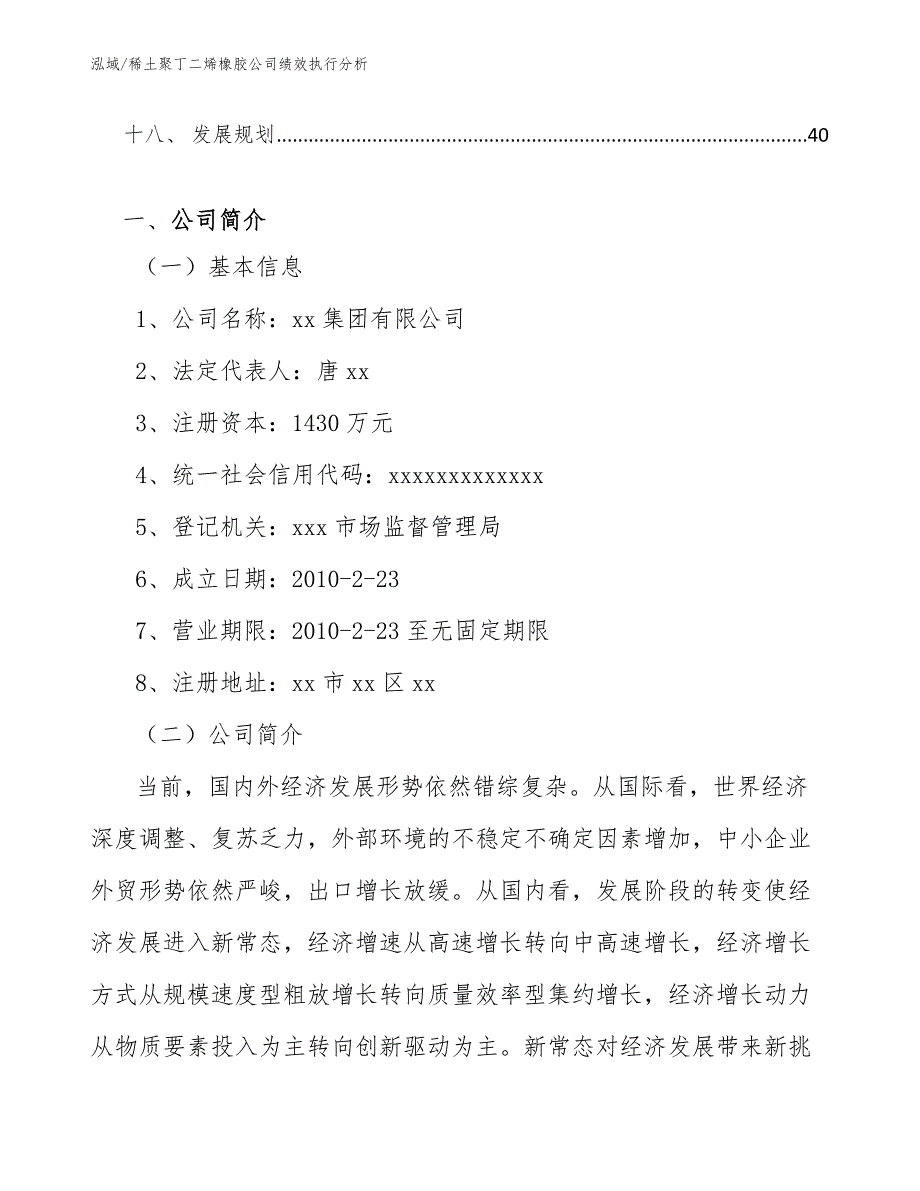 稀土聚丁二烯橡胶公司绩效执行分析（参考）_第2页