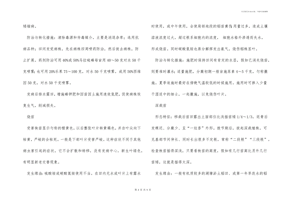 水稻分蘖拔节期稻田秧苗异常诊断与防治_第2页