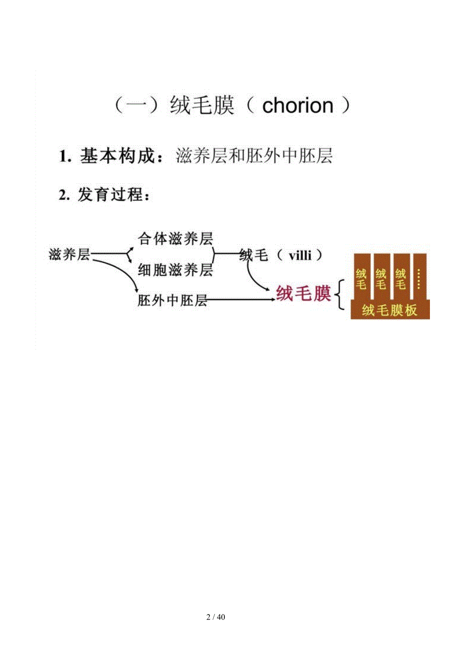 胎膜和胎盘颜面的发生_第2页