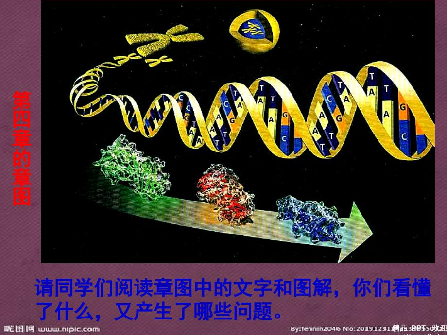 基因指导蛋白质的合成(优秀公开课课件)_第3页