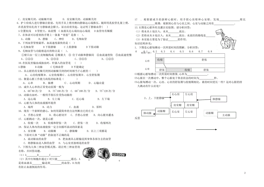 七年级生物下册 3.3.2 物质运输的器官导学案（无答案）（新版）济南版_第2页