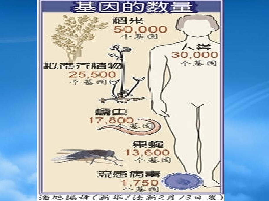 湖南省长沙地区高二政治哲学意识能够正确的反映客观事物新课标_第2页