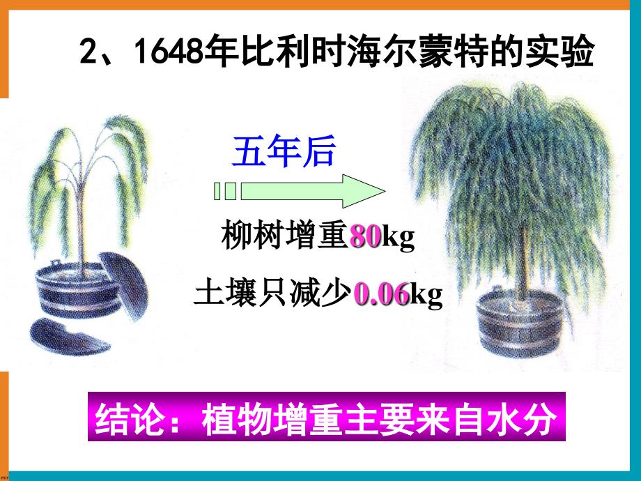 高中高中生物 5.4 能量之源—光与光合作用课件 新人教版必修1.ppt_第3页