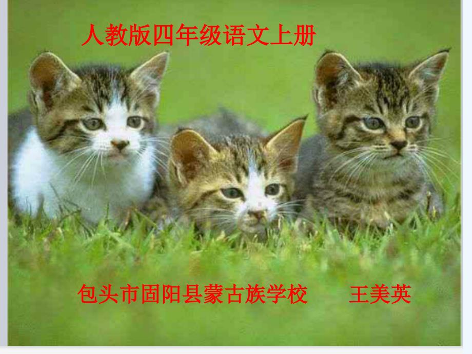 语文人教版四年级上册猫教学课件2_第4页