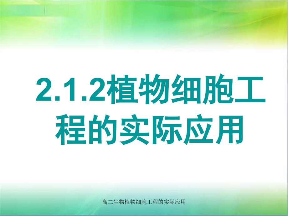 高二生物植物细胞工程的实际应用课件_第1页