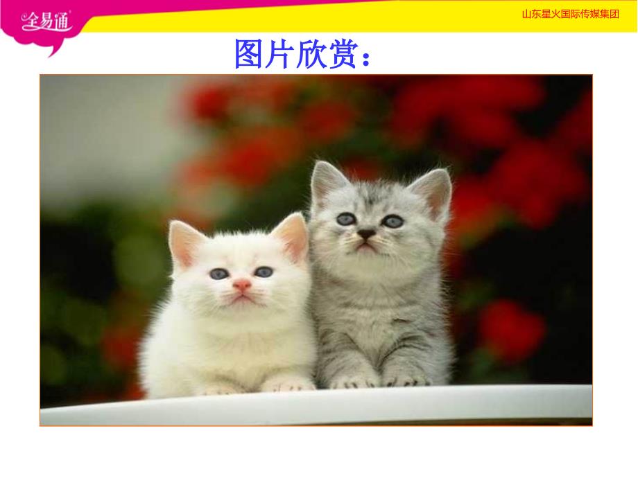 优秀郑振铎《猫》ppt_第1页