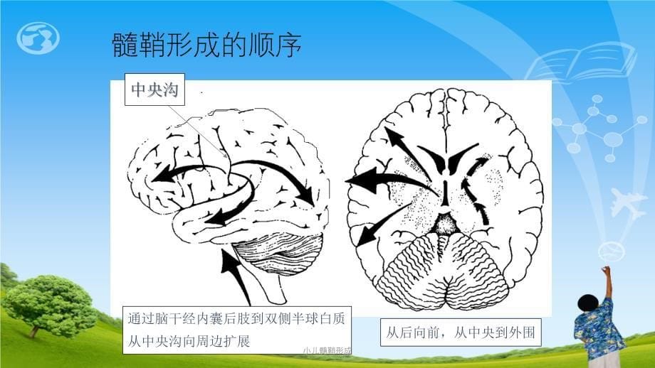 小儿髓鞘形成ppt课件_第5页