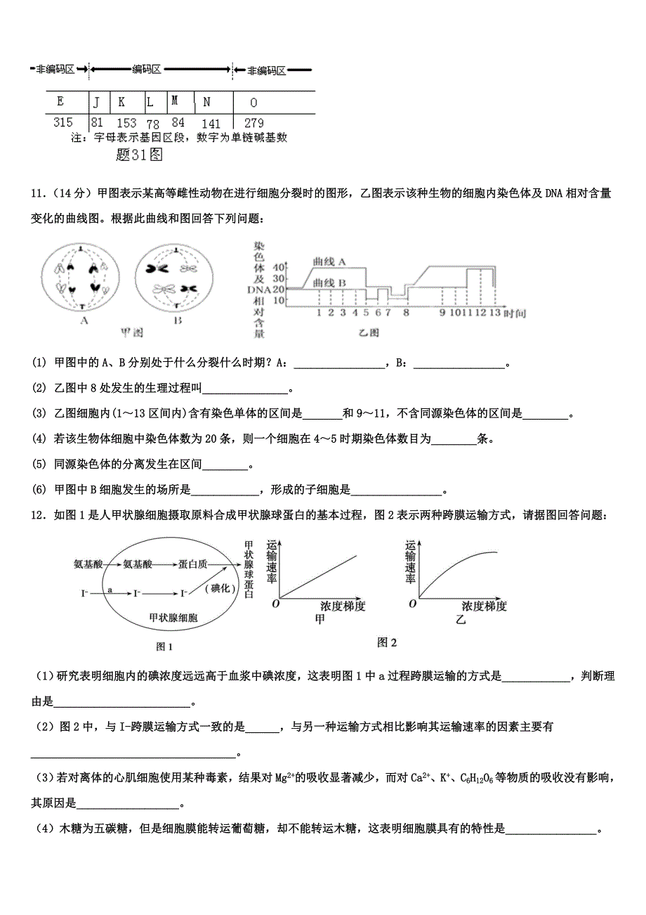 2022学年浙江省宁波市诺丁汉大学附属中学生物高二第二学期期末教学质量检测模拟试题(含解析).doc_第4页