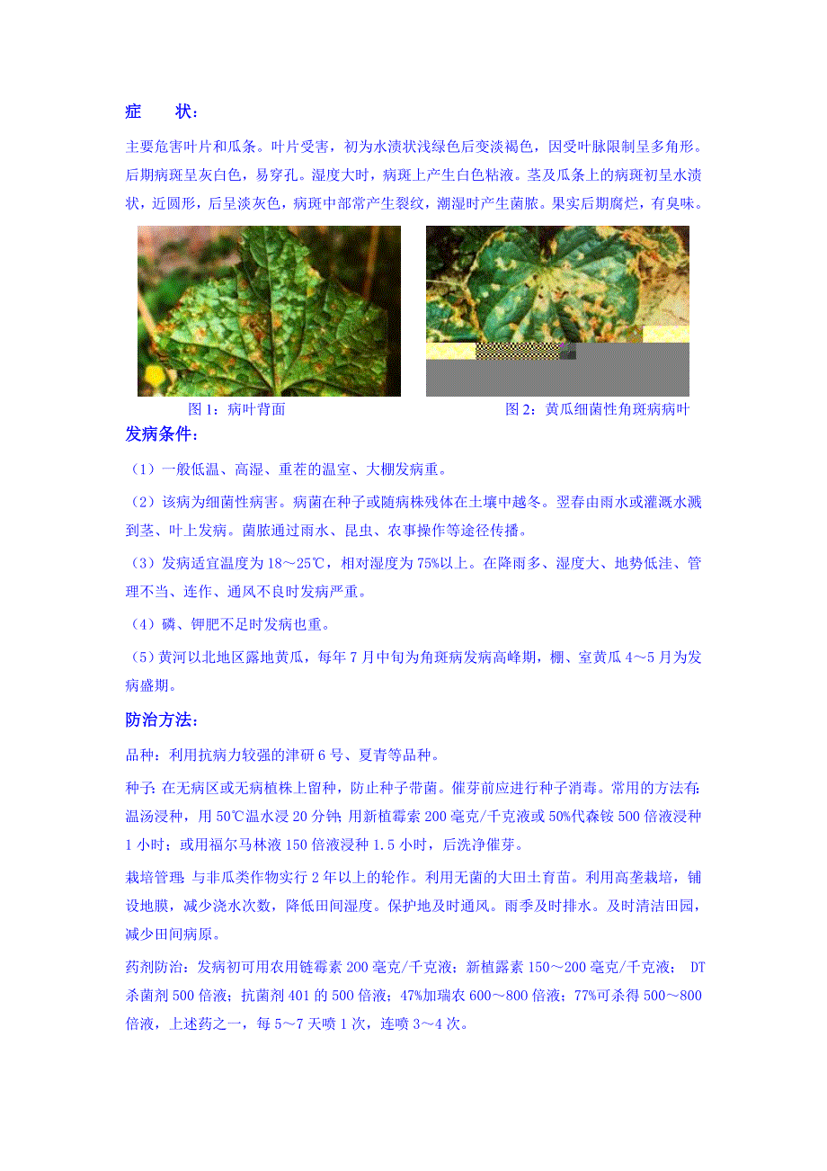 黄瓜种植技术 (2)_第3页