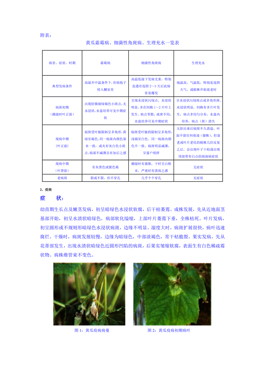 黄瓜种植技术 (2)_第4页