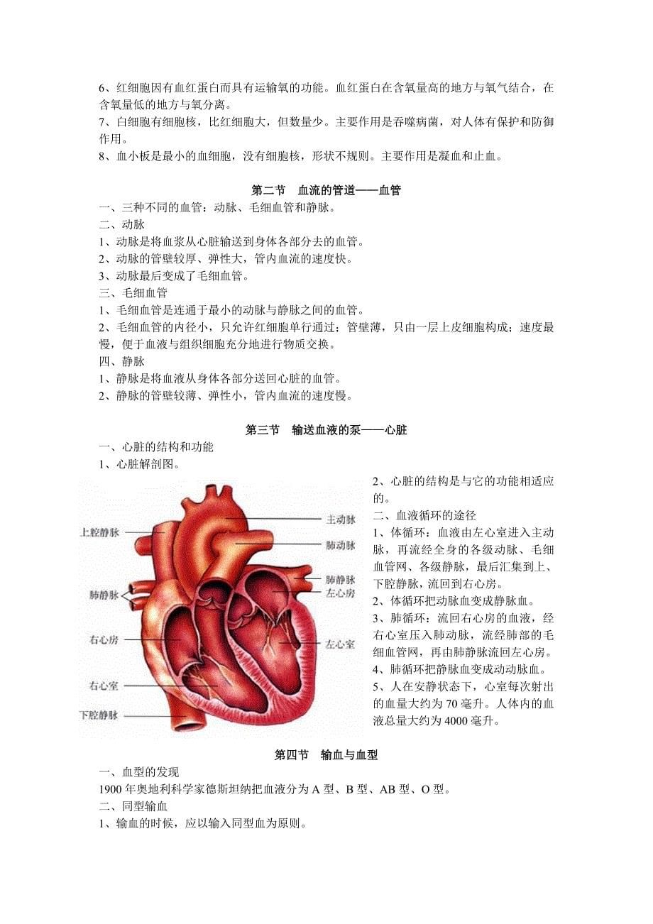 七年级下册第四单元生物圈中的人_第5页