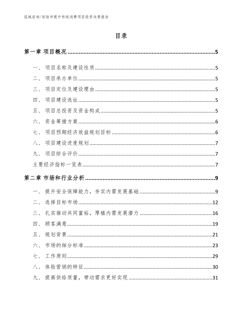 安陆市提升传统消费项目投资决策报告（参考范文）_第1页