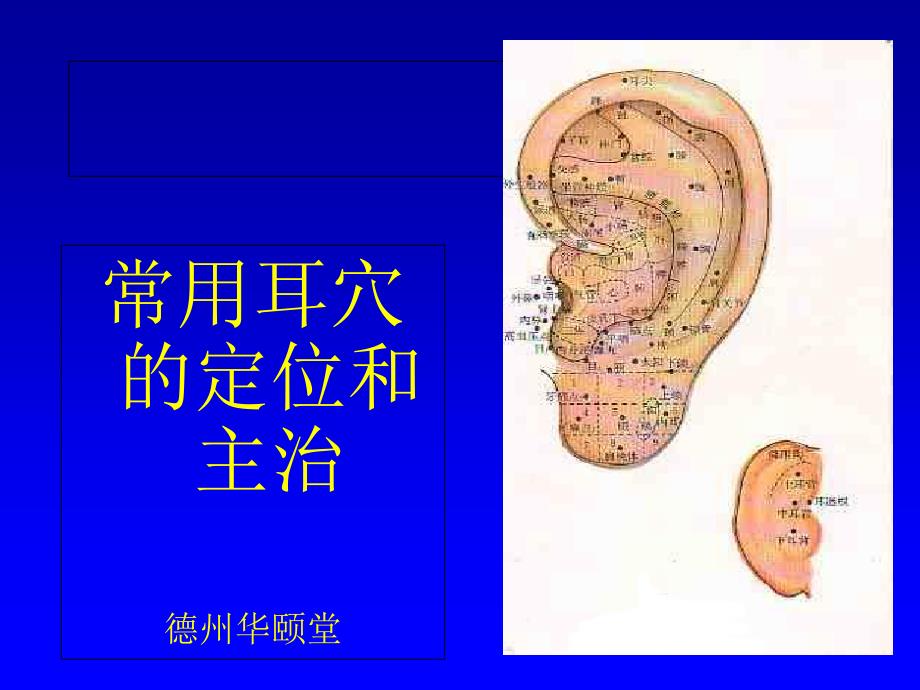 常用耳穴的定位和主治_第1页