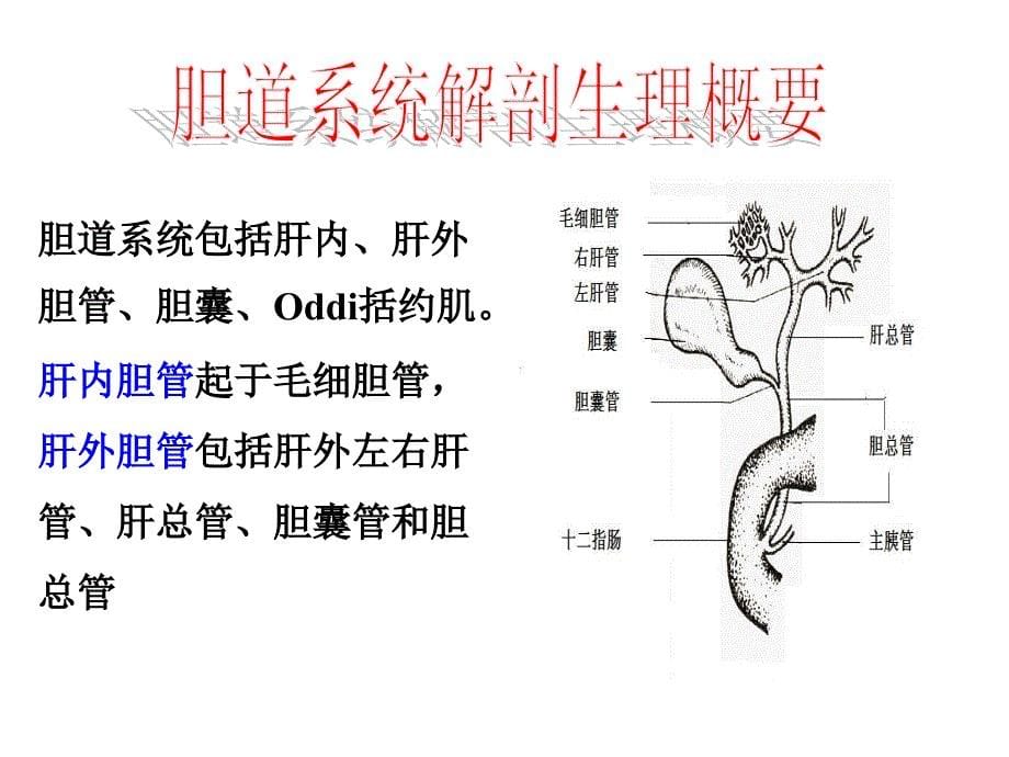 胆道疾病病人的护理ppt课件_第5页