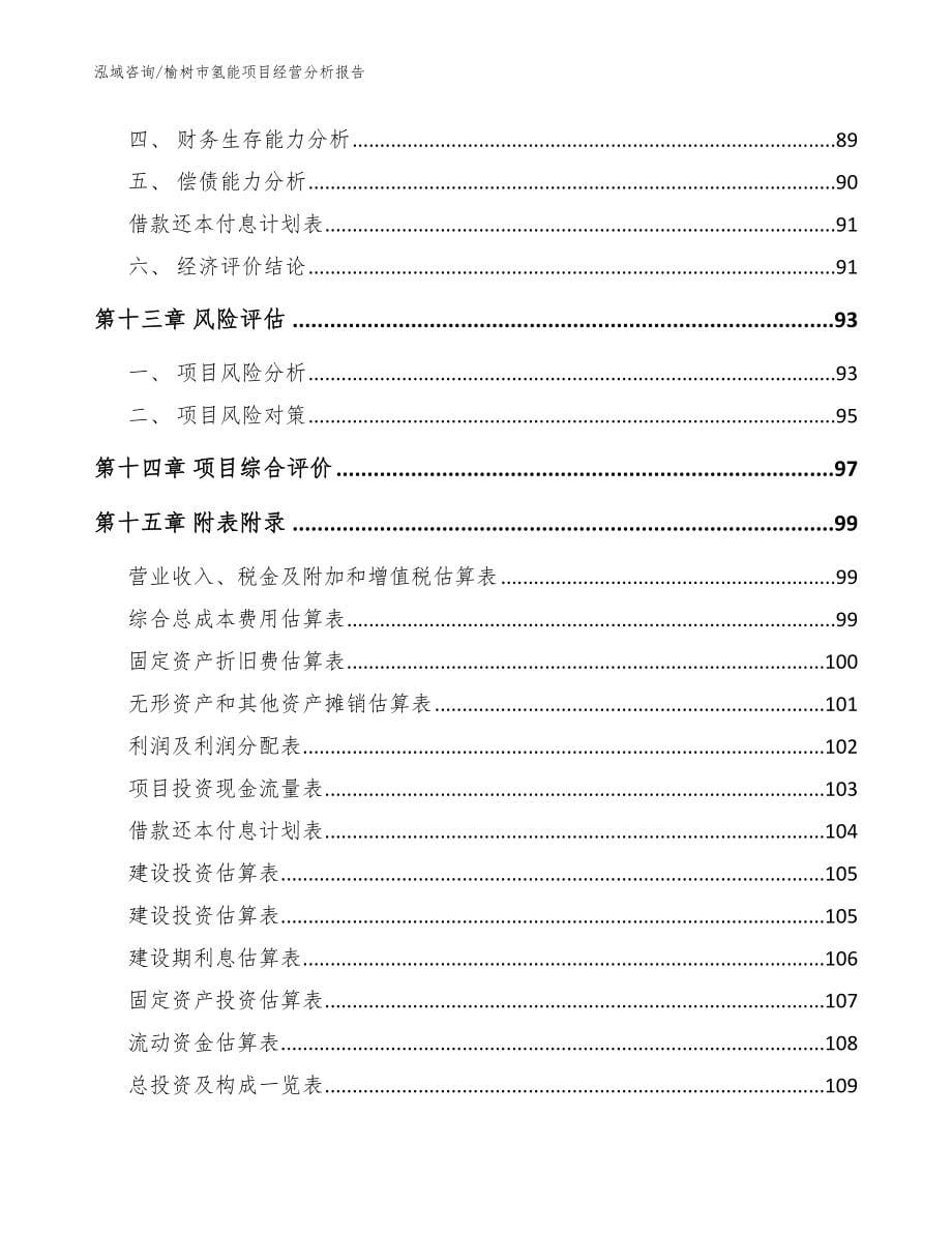 榆树市氢能项目经营分析报告_范文参考_第5页