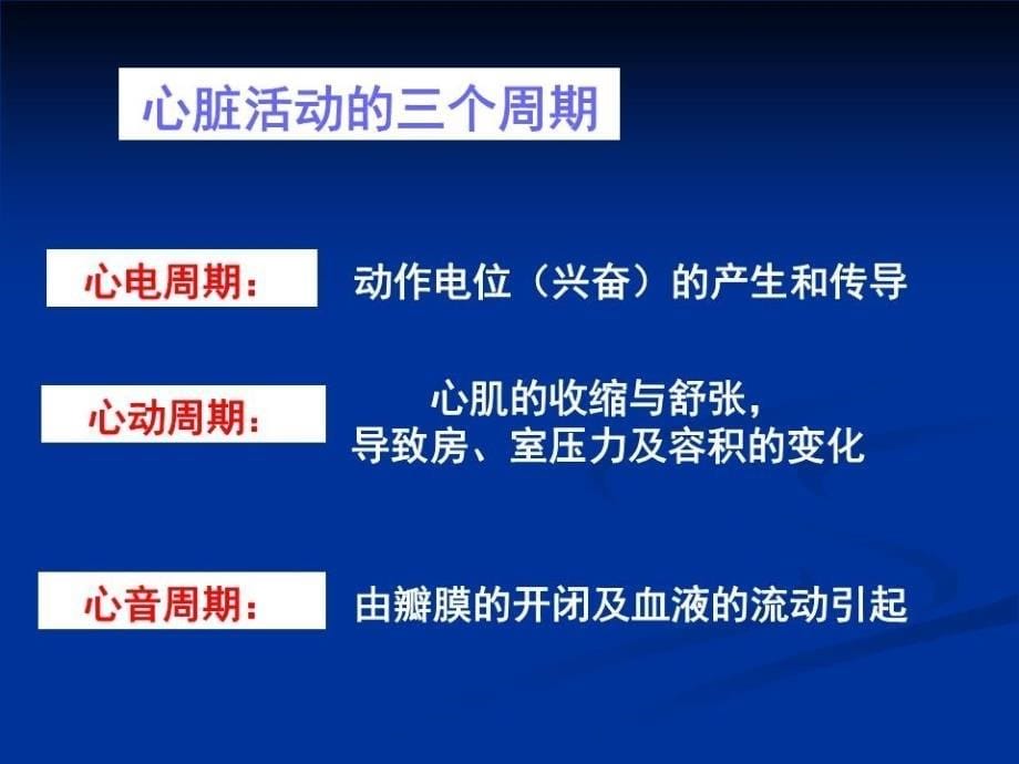 《生理学血液循环》PPT课件.ppt_第5页