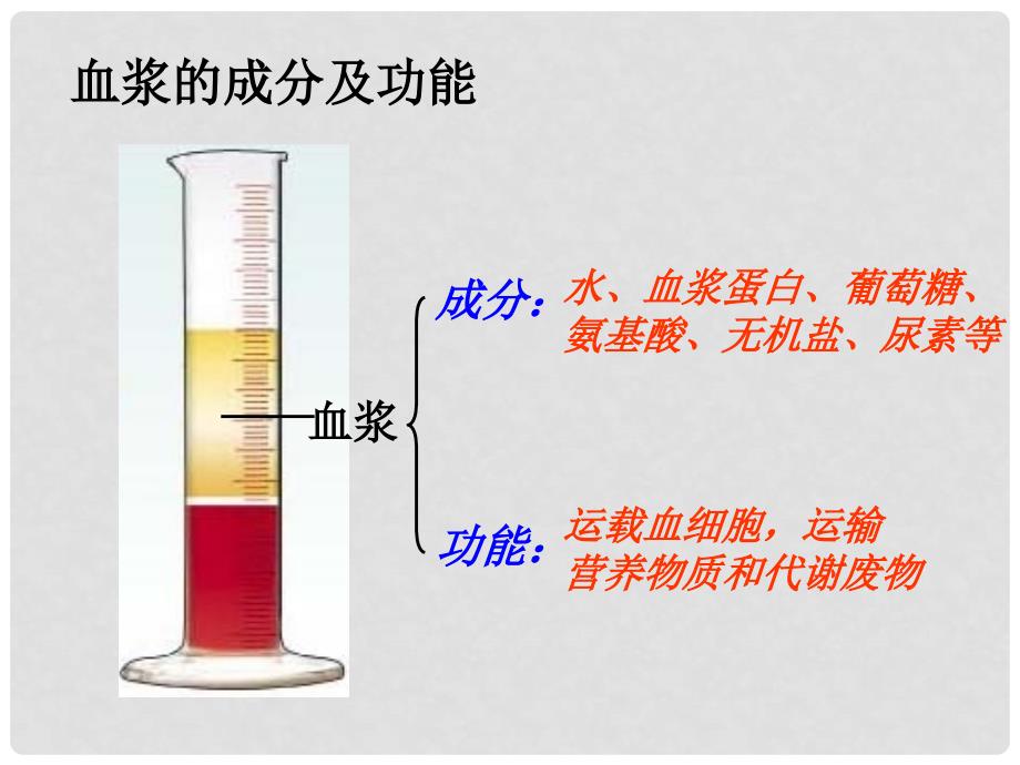 山东省淄博市淄川金城中学八年级生物上册 15.1 人体内的物质运输课件 苏科版_第4页