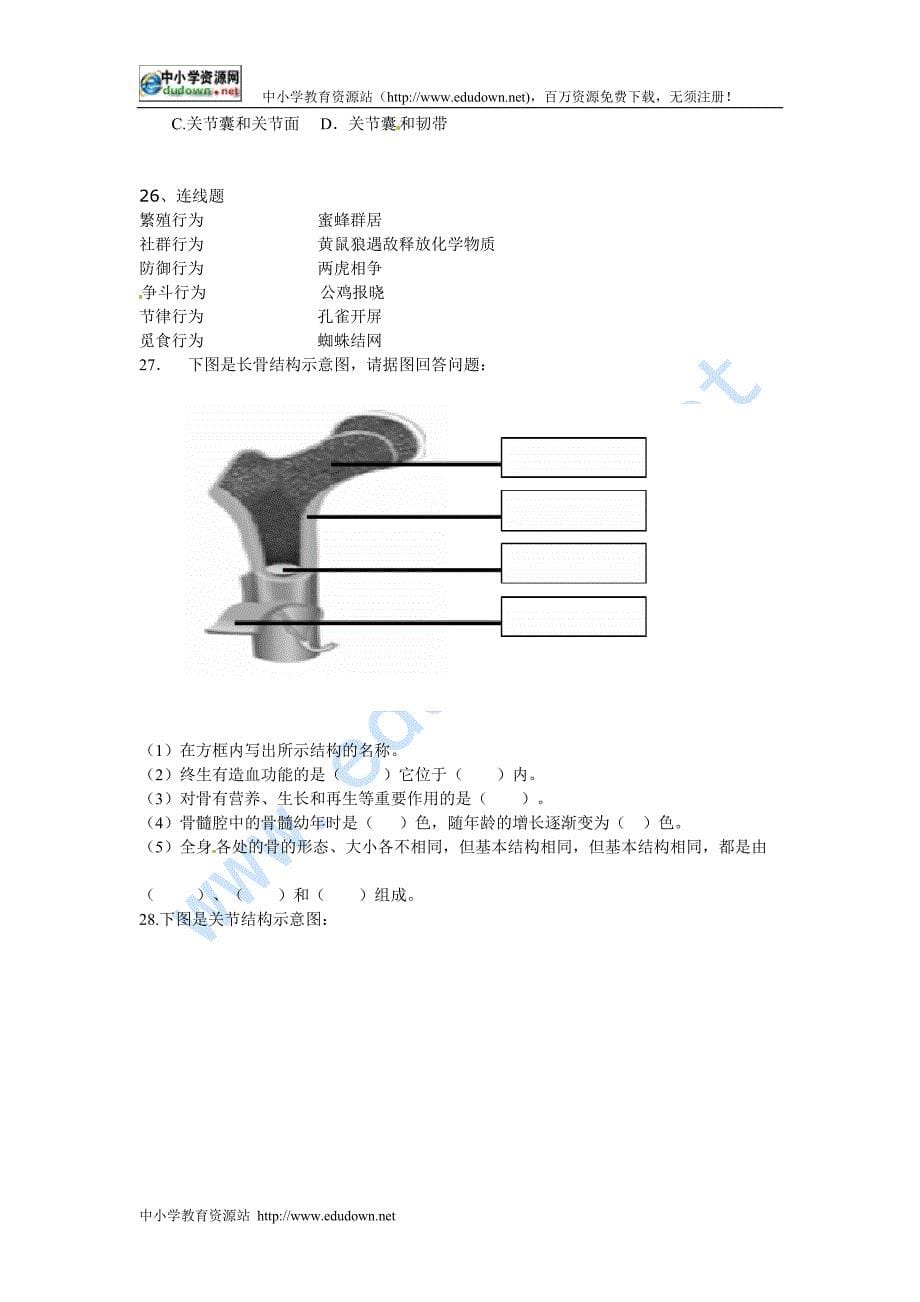 苏科版生物八上第16章运动与行为复习同步测试题_第5页