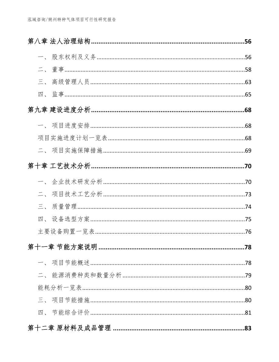 朔州特种气体项目可行性研究报告_第5页