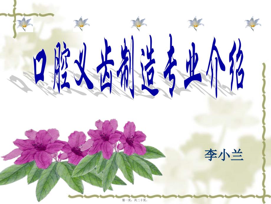 口腔义齿制造介绍6070_第1页