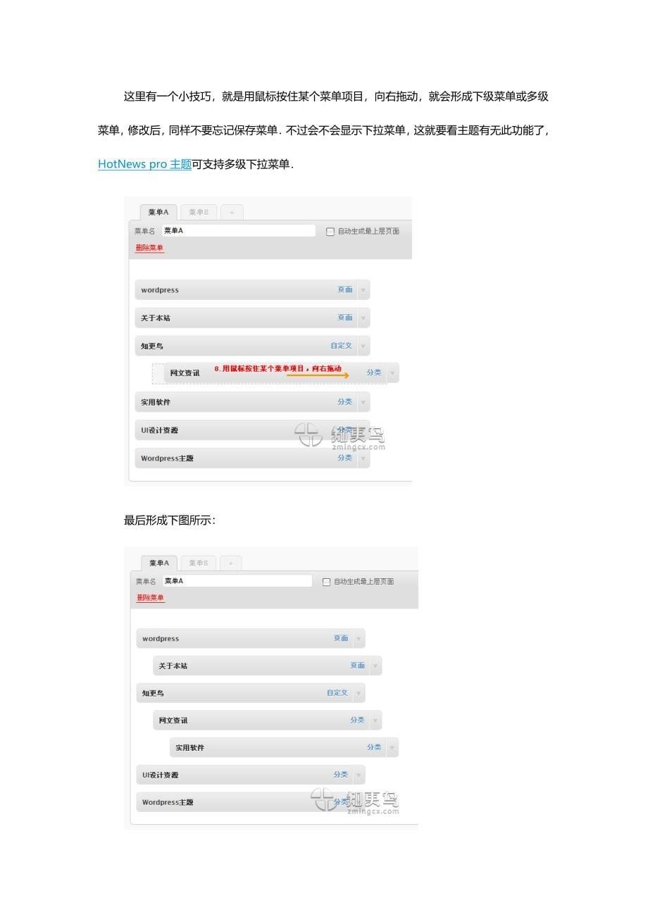 WordPress3.0导航菜单图文使用教程_第5页