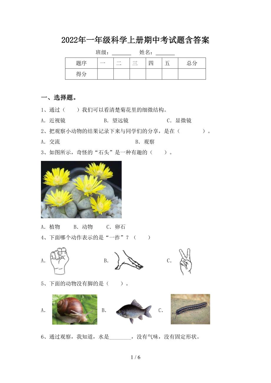 2022年一年级科学上册期中考试题含答案.doc_第1页