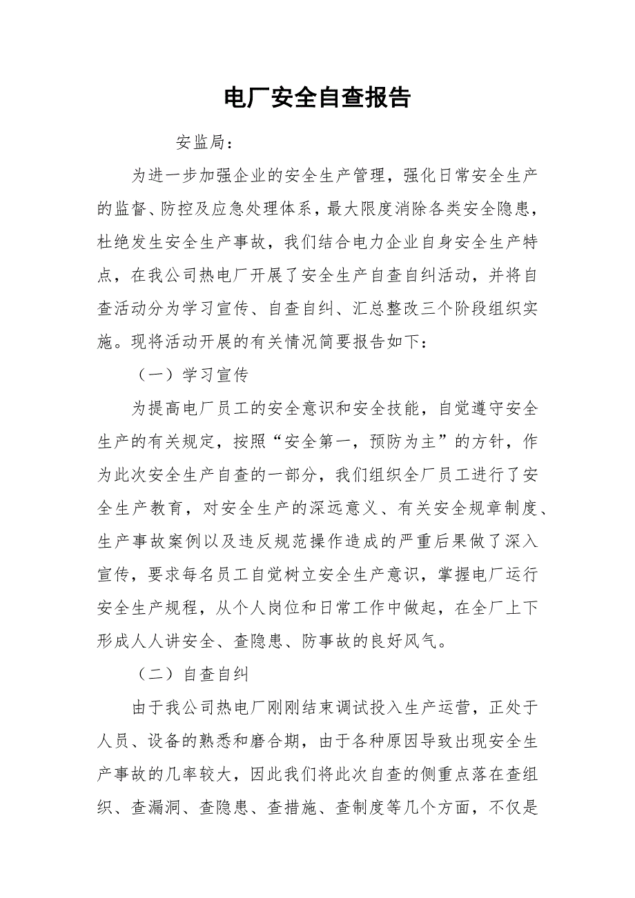 电厂安全自查报告.docx_第1页