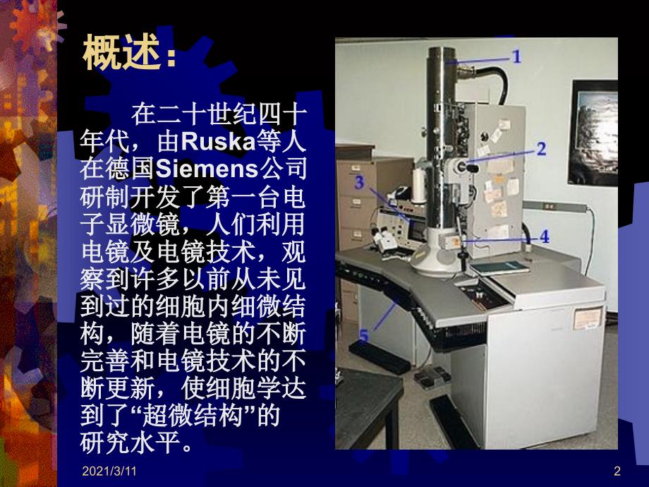 细胞超微结构(1)_第2页