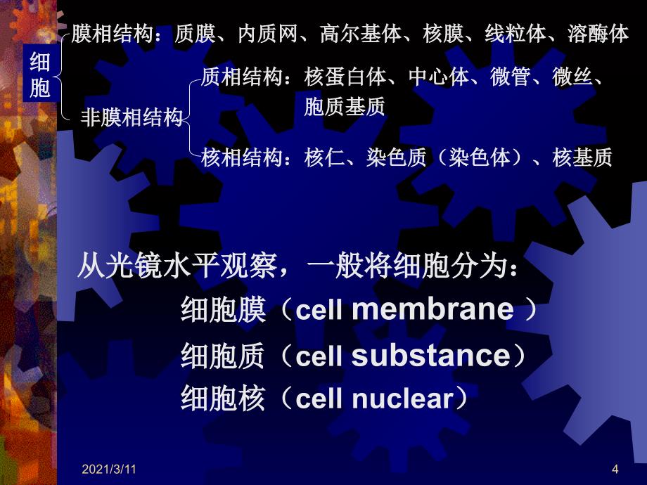 细胞超微结构(1)_第4页