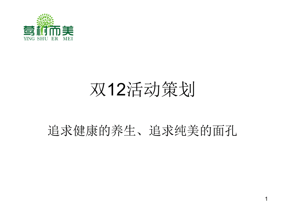 双12活动策划_第1页