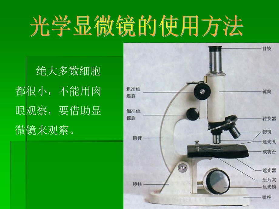 细胞的基本结构和功能_第4页