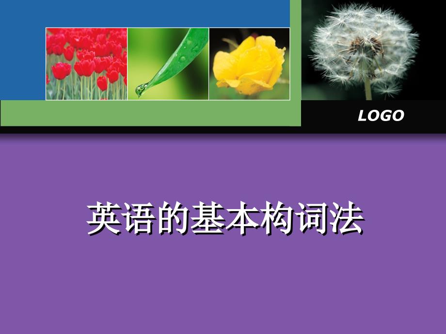 术语学第二章英语的基本构词法_第1页