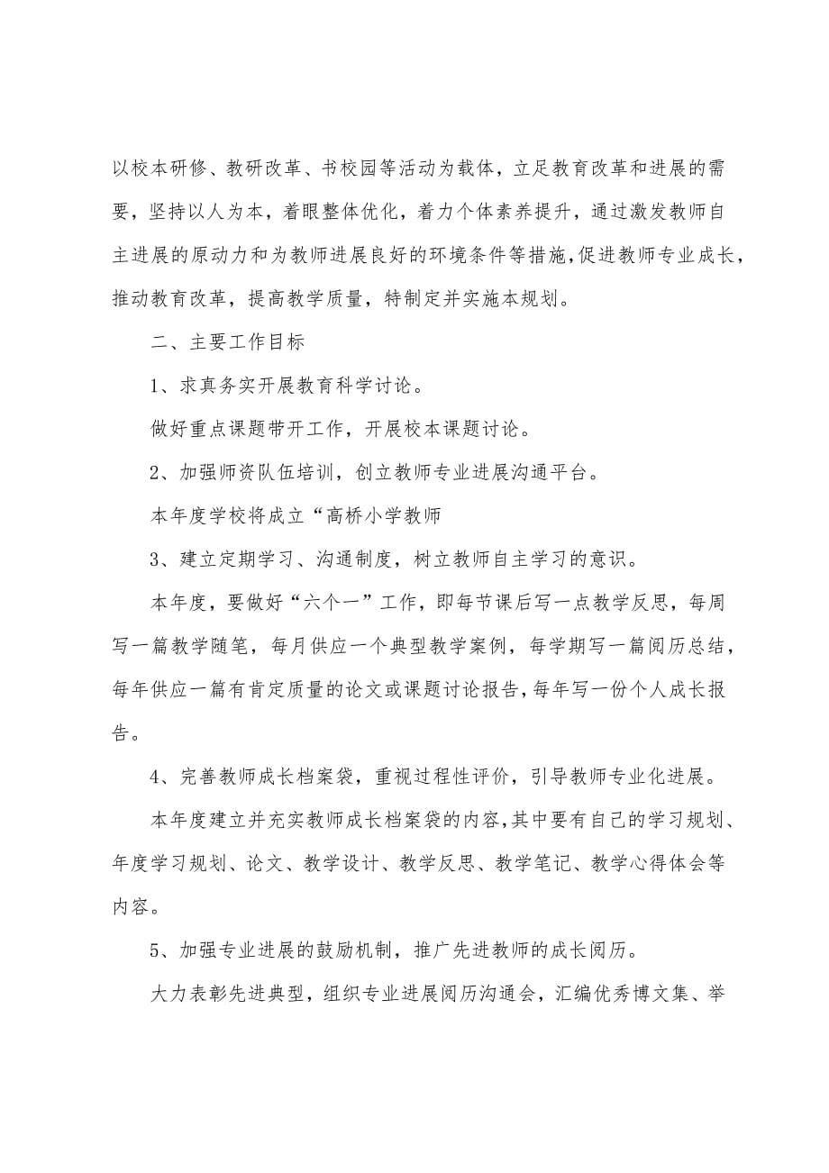 2023年教师个人专业成长计划2023年教师个人工作计划.docx_第5页