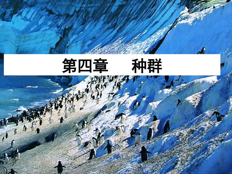 浙江省湖州市南浔中学高二生物 第四章《种群》课件_第2页