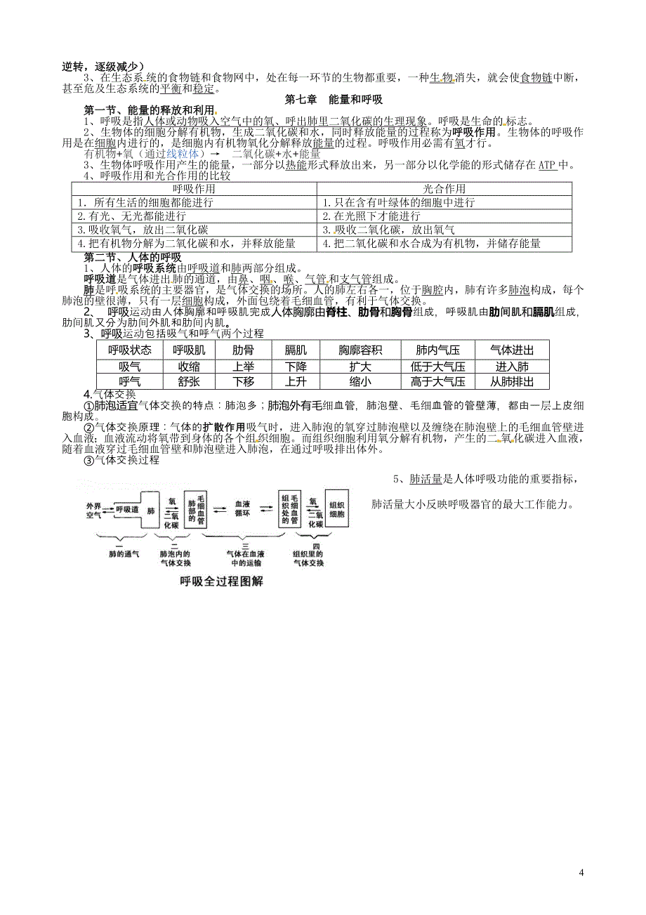 苏科版七年级生物上册知识点(江苏省适用).doc_第4页