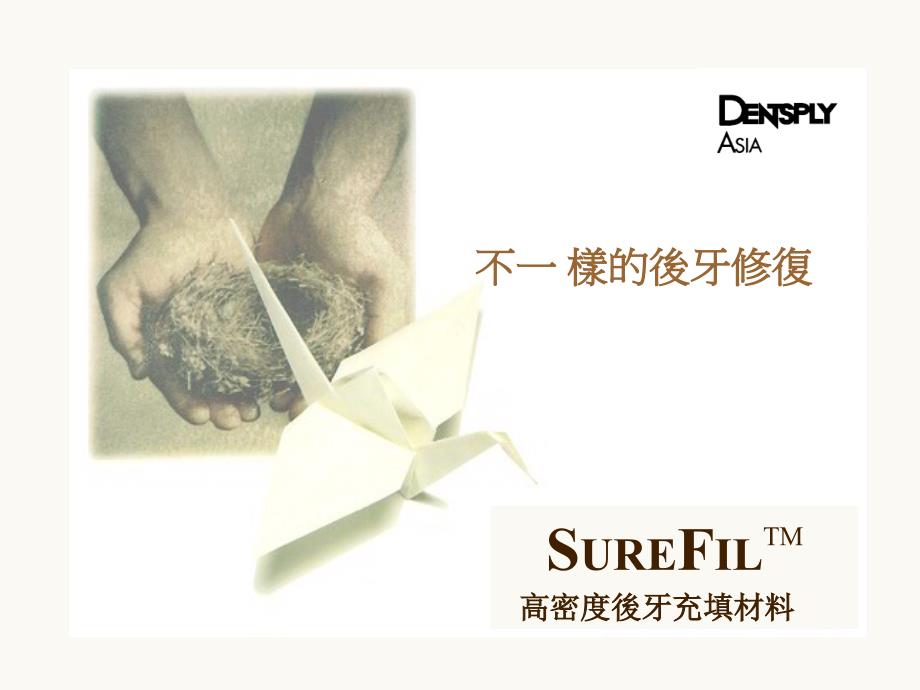 不一樣的後牙修復SureFilraining Presentation_第1页