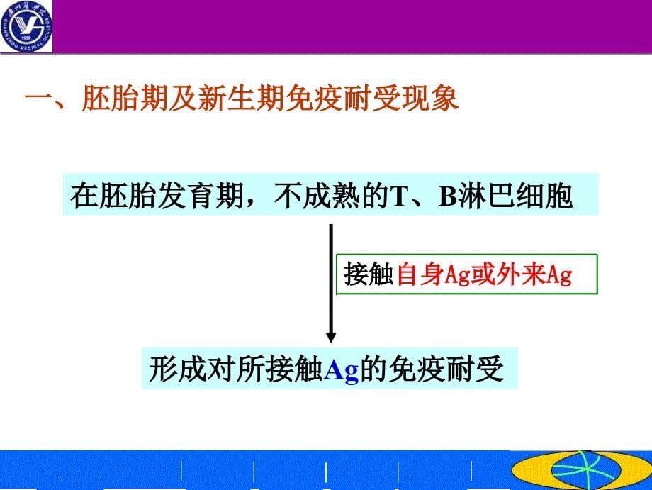 免疫耐受医学知识讲座优质PPT课件_第5页