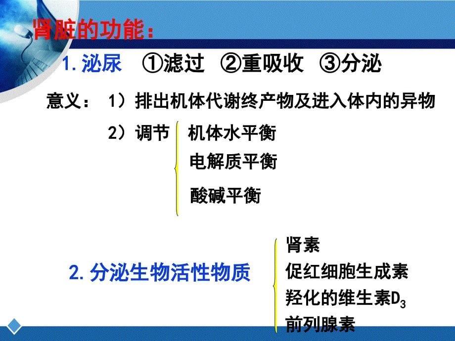 尿的生成与排出ppt课件_第5页