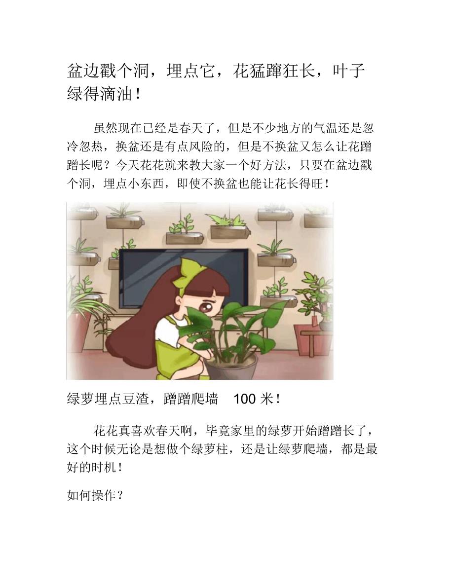 盆边戳个洞埋点它花猛蹿狂长叶子绿得滴油_第1页