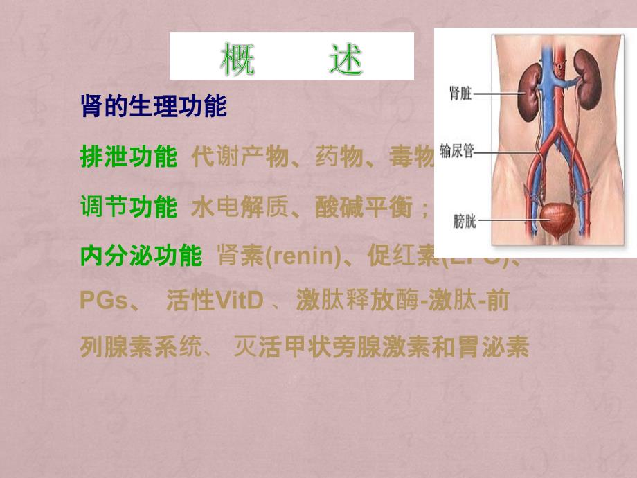 肾功能不全_第3页